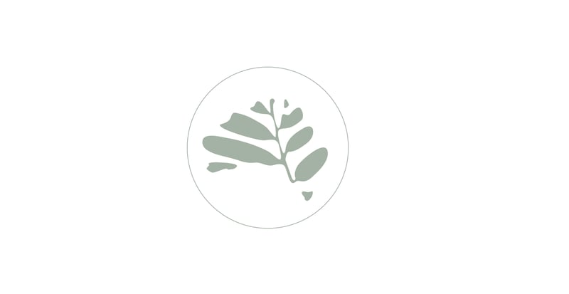 acacia 2