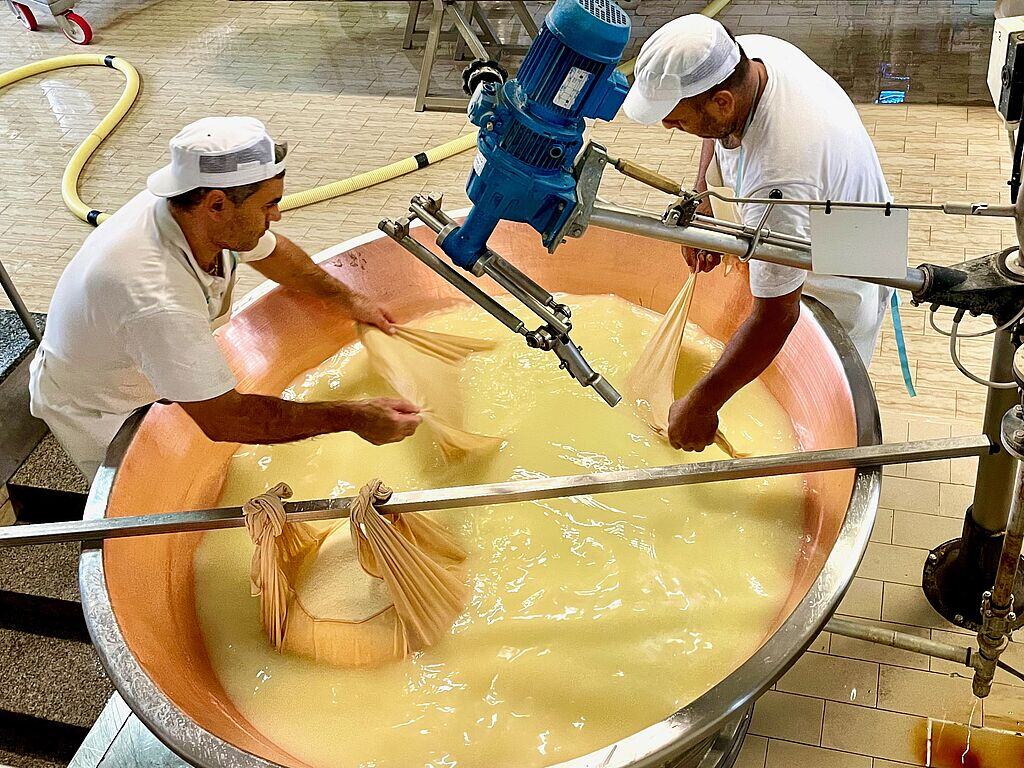 Parmesan production